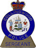 Sample Police Emblem