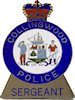 Example of Police Emblem