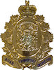 Sample Police Emblem