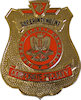 Sample Fire Badge