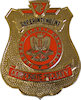 Example of Fire Badge