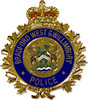 Example of Police Badge