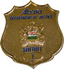 Sample Police Badge