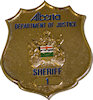 Example of Police Emblem