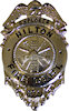 Example of Police Badge