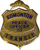 Example of Police Badge