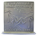 Example of Ultramarathon Participant medal