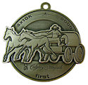 Drawing of Half Marathon Award