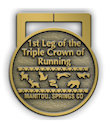 Example of Charity Event Finisher medallion