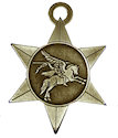 Drawing of Corporate Participant medal