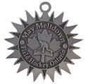 Example of Charity Medallion