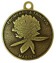 Sample Logo Participant medal