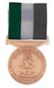 Example of Fundraising Medal