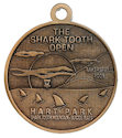 Photo of Logo Participant medal