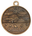 Drawing of Sport Participant medal