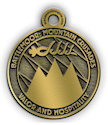 Example of Logo Award