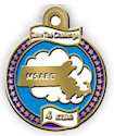 Example of Charity Participant medal