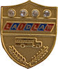 Example of Award Lapel Pin