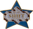 Example of Award Lapel Pin