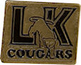 Example of Promotional Lapel Pin