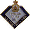 Example of Promotional Pin
