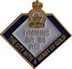 Photo of Promotional Pin