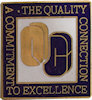 Sample Award Badge Pin