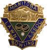 Example of Promotional Badge Pin