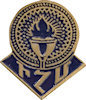 Sample Recognition Pin