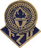 Example of Recognition Pin