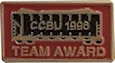 Sample Recognition Badge Pin