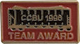 Sample Award Lapel Pin