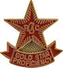 Photo of Corporate Badge Pin