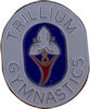 Photo of Recognition Badge Pin