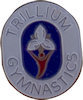 Example of Award Pin