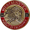 Sample Corporate Badge Pin
