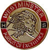 Photo of Corporate Badge Pin