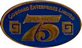 Sample Award Lapel Pin