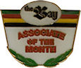 Example of Promotional Badge Pin