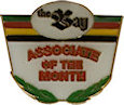 Photo of Promotional Lapel Pin