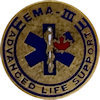 Example of Recognition Badge Pin