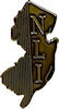 Photo of Recognition Badge Pin
