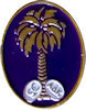 Example of Recognition Lapel Pin