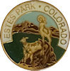 Example of Corporate Badge Pin