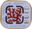 Photo of Corporate Lapel Pin