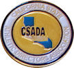 Photo of Award Lapel Pin